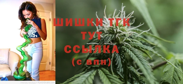 индика Усинск
