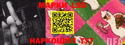 мдпв Донецк