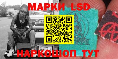 PSILOCYBIN Донской