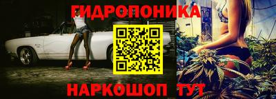 стаф Будённовск