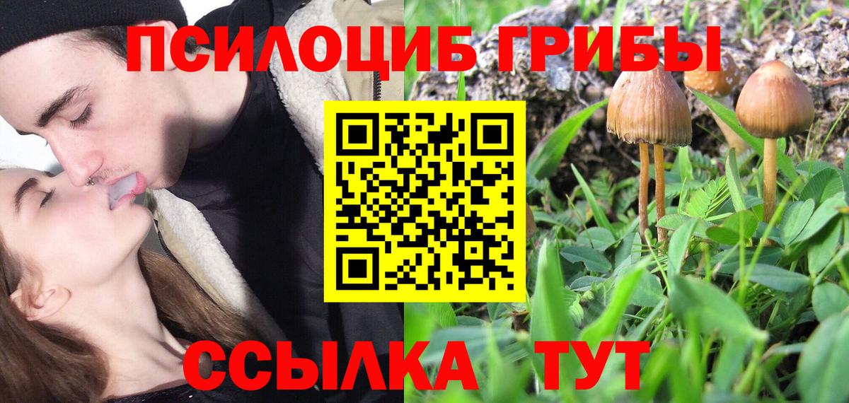 Псилоцибиновые грибы мицелий  Галлюциногенные грибы мицелий  Северск 