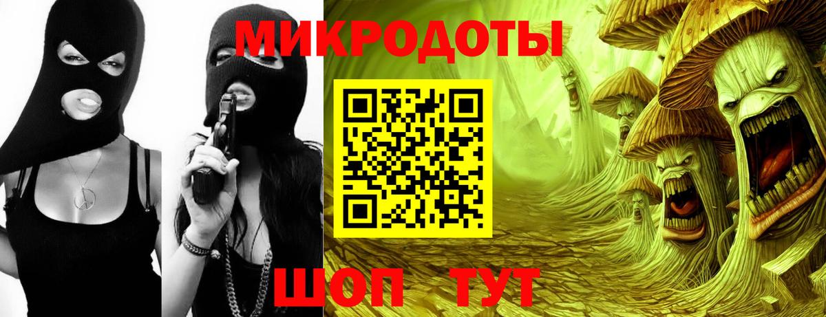 Галлюциногенные грибы Cubensis Северск