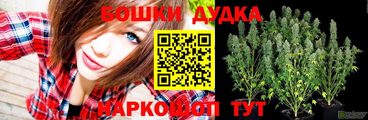 Канабис Bruce Banner  Северск  Каннабис Amnesia  Бошки марихуана план  Каннабис сатива 